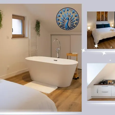 Le Paon Bleu - Hypercentre - 2 Pers Апартаменты Труа